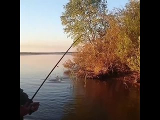 Видео от Замечен на рыбалке dbltj jn pfvtxty yf hs,fkrt