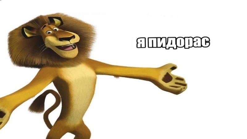 Алекс мем. Мадагаскар Лев. Лев Алекс из Мадагаскара.
