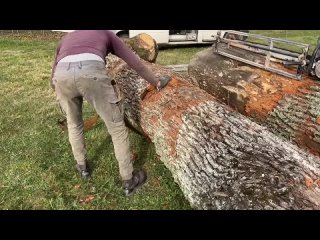 Incredible Boards From A oak