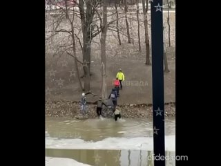 Добродушные люди помогли мальчику, который провалился под лед!