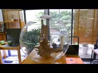 КРУГЛЫЙ НАНО АКВАРИУМ БЕЗ СО2 И ФИЛЬТРА _ NANO BOWL AQUARIUM WITHOUT CO2 AND FIL