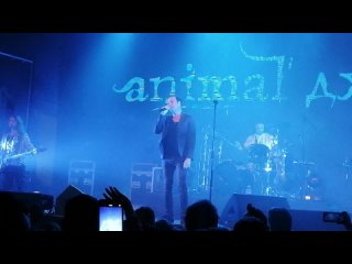 Animal ДжаZ-О хлебе и воде ( НН, Milo concert)