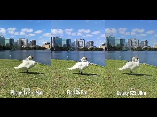 [Danny Winget] Galaxy S23 Ultra vs iPhone 14 Pro Max vs Oppo Find X6 Pro Camera Test
