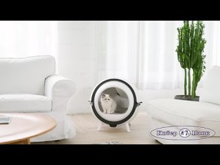 Catson — умный самоочищающийся туалет для кошек