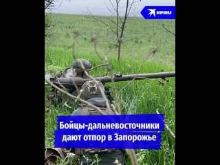 Мое видео из-под Гуляйполя