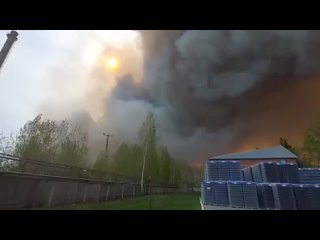 В Тюменской области из-за пожаров ввели режим ЧС