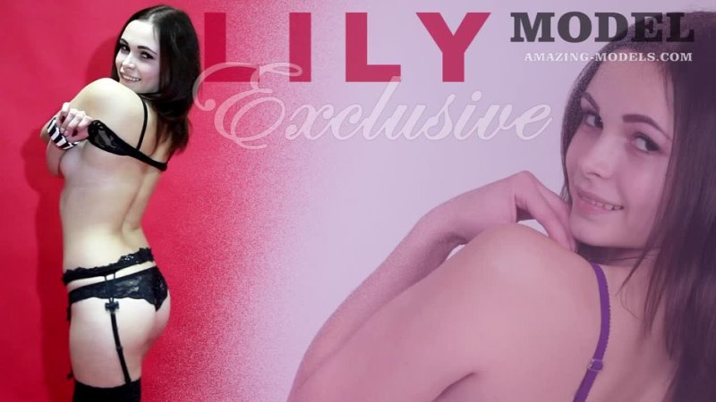 Lilly Model v