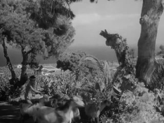 La Habanera (1937) with English Subtitles