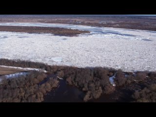 Видео от Константина Ломкова. Прорыв ледового затора