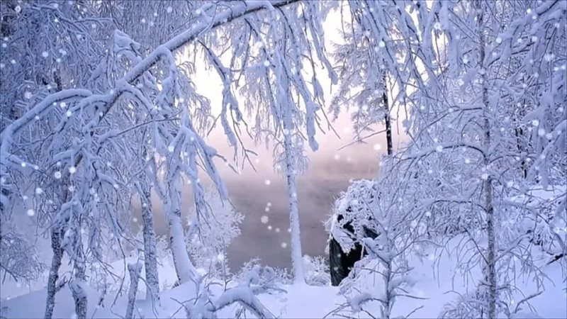 Найти снег падает. Снегопад анимация. Снег анимация. Зимний лес блестит. Метель.
