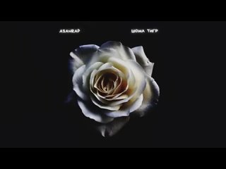asanrap - Шома тигр (Single 2021) @MELOMAN-MUSIC