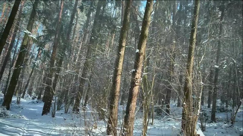 Сергей Горбацкий Снегопад в апреле премьера на