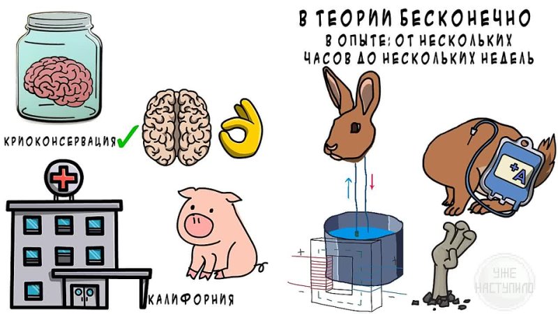 [Уже Наступило] 🧪Технологическое Воскрешение.