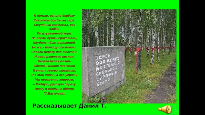 День победы васильев 2 класс презентация. Стих про березу и войну. Береза стихотворение о войне. Белая берёза стихотворение про войну. Стихотворение про березу военное.