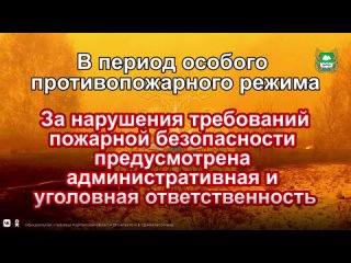 Дом детского творчества Синяя птицаtan video