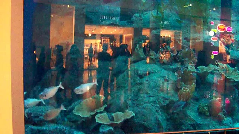 РимаПенджиева возле огромного аквариума в Дубаи