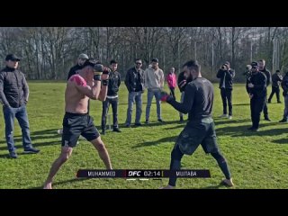 Dagestani EAGLE vs. Afghan WOLF | MMA Streetfight | DFC