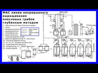 МАС непрерывного выращивания плесневых грибов на барде спиртовых заводов