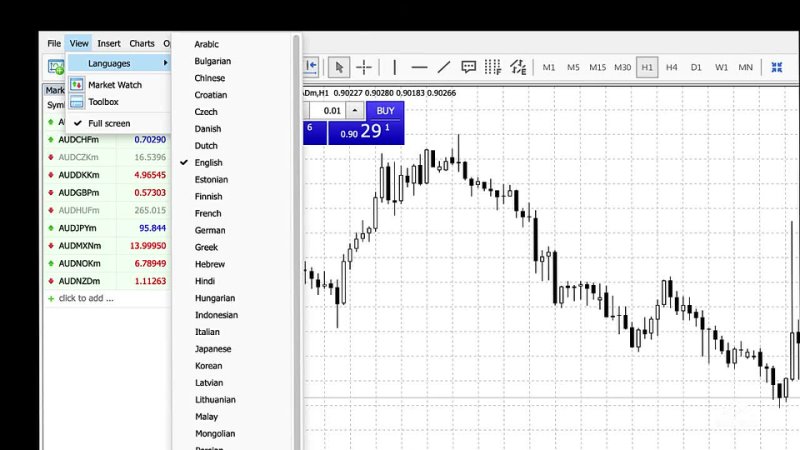 Lets try the Web Terminal