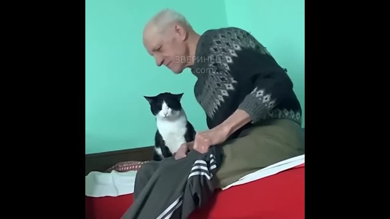 Дружище 😻