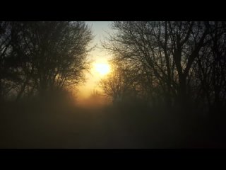 Туман - Руслан Богатырев