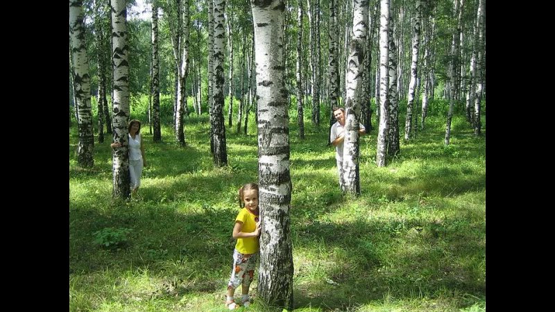 Дача стоявшая в березовом лесочке казалась. Дети в березовой роще. Прогулка в березовой роще. Человек в березовой роще. Береза и человек.