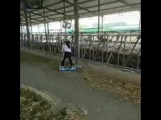 Какая, сообразительная 😊 - Яна Юмшанова