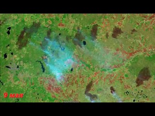 Масштабы пожаров в Свердловской области со спутника, пишут в сети