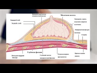 Video by Школа обучению массажу