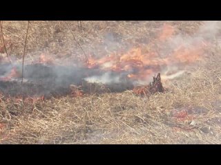 Контролируемый отжиг сухой травы проводится в Братске