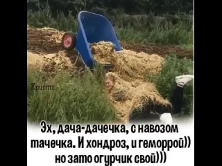 Эх, дача-даченька, с навозом тачечка!