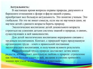 Ценность труда. Нургалиева Зульфия Назифовна, воспитатель МБДОУ №1 Березка п Джалиль