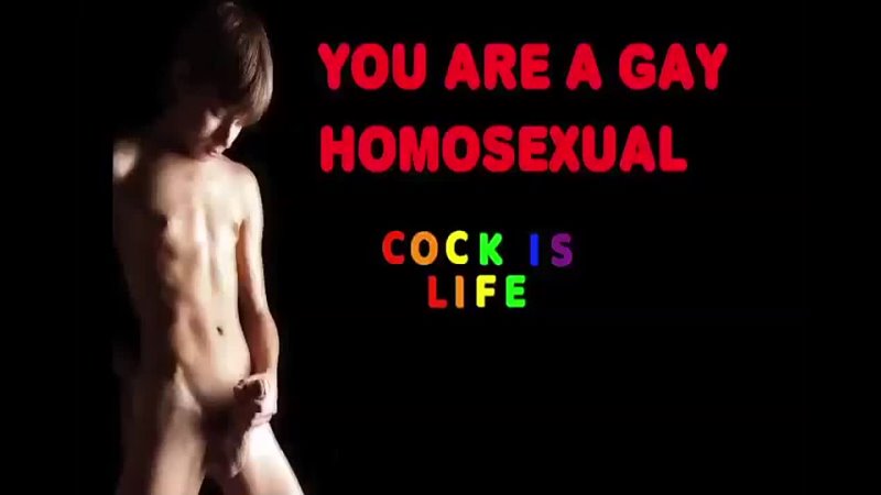 You are a Gay - cock is life