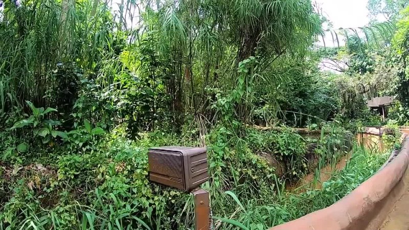 Singapore River Safari Amazon River Quest   Singapore Zoo   