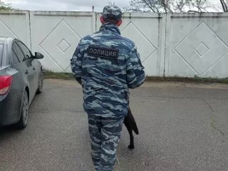 Сотрудники кинологической службы прибыли на нефтебазу в Севастополе, чтобы проверить территорию на наличие взрывчатки, рассказал