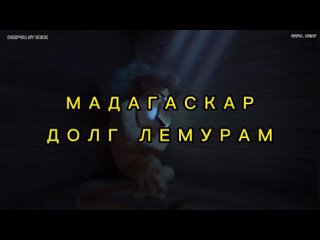 МАДАГАСКАР: ДОЛГ ЛЕМУРАМ (озвучка by Krioz)