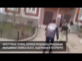 Разоблачена группа аферистов, торговавших фальшивыми полисами ОСАГО в мессенджерах