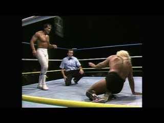 Ricky Steamboat vs Ric Flair - WCW Clash of the Champions VI ()
