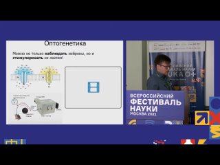 Современные оптические методы регистрации активности нейронов. В П Сотсков