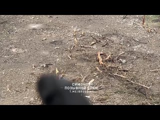 🇷🇺🇺🇦 Репортаж о боях в районе Самолет - последнем рубеже обороны ВСУ в Бахмуте