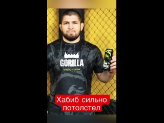 [ZHIVOV FITNESS] Хабиб слез с химии и сильно потолстел