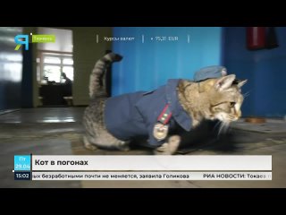 Носит форму и ведет соцсети в Тюмени кот поступил на службу в пожарную