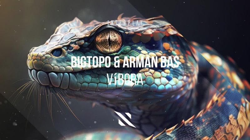Bigtopo & Arman Bas - Víbora