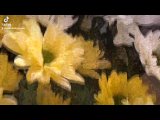 Видео от Салон цветов в Воркуте "КРОКУС"