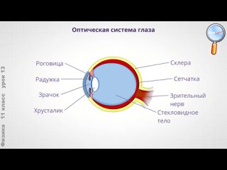 [LiameloN School] Физика 11 класс (Урок№13 - Линза. Построение изображения в линзе.)