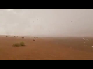 🌩Арабские Эмираты успешно испытали технологию искусственного дождя в горящей пустыне при температуре 50°C
