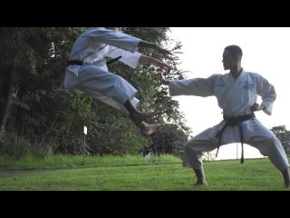 Why Martial Arts Are Suddenly Being Exposed as Fake