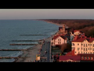 Мой ласковый и нужный зверь. Г. Санкт-Петербург