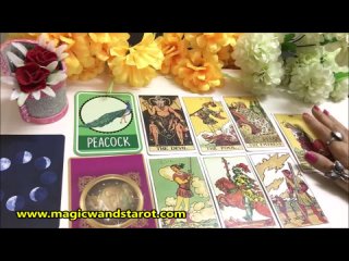 Pick a Card- CHARMS- WHAT IS COMING NEXT FOR YOU- LOVE TAROT- APKE LIYE KYA HOGA- Magic Wands Tarot