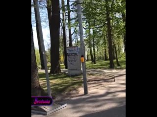 Латыша, который возложил цветы к уже снесенному советскому памятнику, посадят на пять лет — «угрозу» для местного правительства